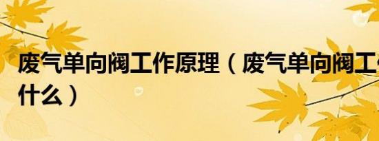 废气单向阀工作原理（废气单向阀工作原理是什么）