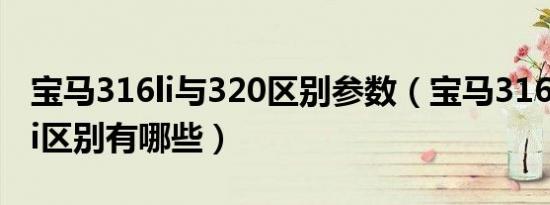 宝马316li与320区别参数（宝马316li和320li区别有哪些）