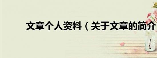 文章个人资料（关于文章的简介）