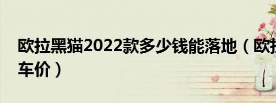 欧拉黑猫2022款多少钱能落地（欧拉黑猫裸车价）