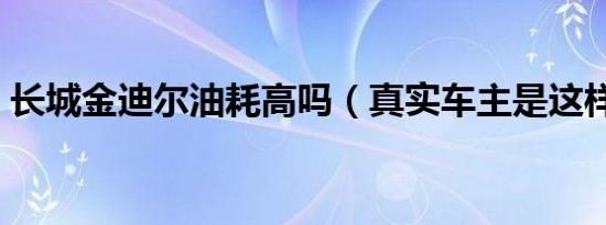 长城金迪尔油耗高吗（真实车主是这样说的）