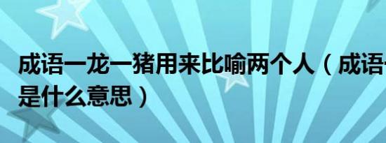 成语一龙一猪用来比喻两个人（成语一龙一猪是什么意思）