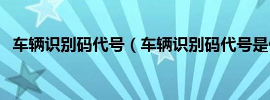 车辆识别码代号（车辆识别码代号是什么）
