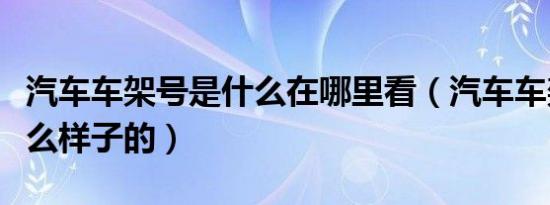 汽车车架号是什么在哪里看（汽车车架号是什么样子的）