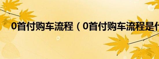 0首付购车流程（0首付购车流程是什么）