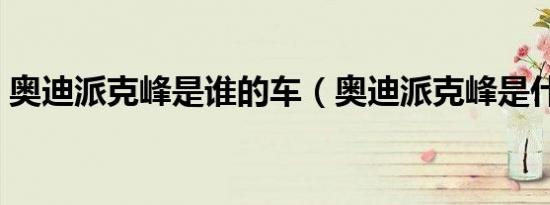 奥迪派克峰是谁的车（奥迪派克峰是什么车）