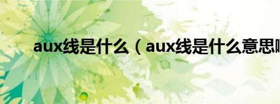 aux线是什么（aux线是什么意思啊）