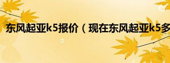 东风起亚k5报价（现在东风起亚k5多少钱）