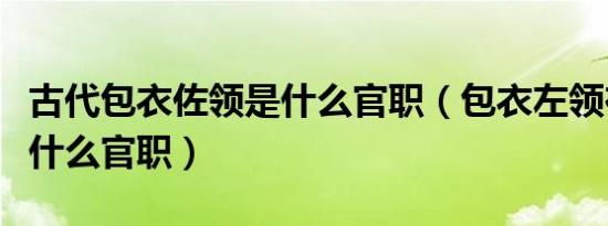 古代包衣佐领是什么官职（包衣左领在古代是什么官职）