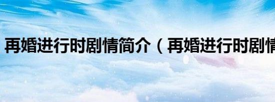 再婚进行时剧情简介（再婚进行时剧情介绍）
