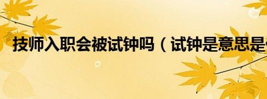 技师入职会被试钟吗（试钟是意思是什么）