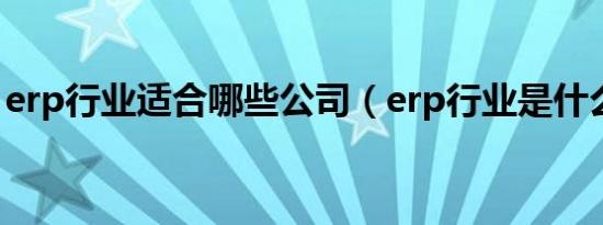 erp行业适合哪些公司（erp行业是什么意思）