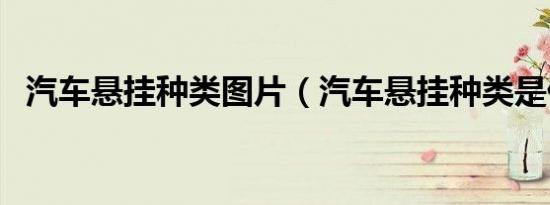 汽车悬挂种类图片（汽车悬挂种类是什么）
