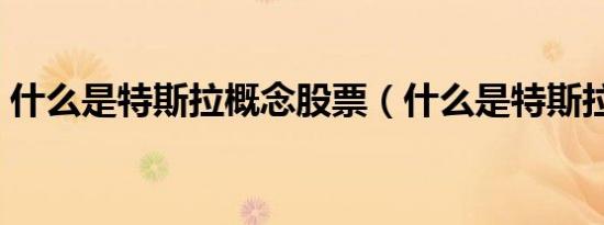 什么是特斯拉概念股票（什么是特斯拉概念）