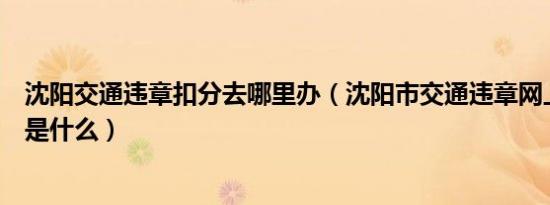 沈阳交通违章扣分去哪里办（沈阳市交通违章网上处理流程是什么）