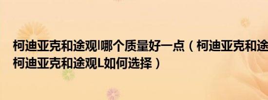 柯迪亚克和途观l哪个质量好一点（柯迪亚克和途观L哪个好柯迪亚克和途观L如何选择）