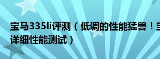 宝马335li评测（低调的性能猛兽！宝马335i详细性能测试）