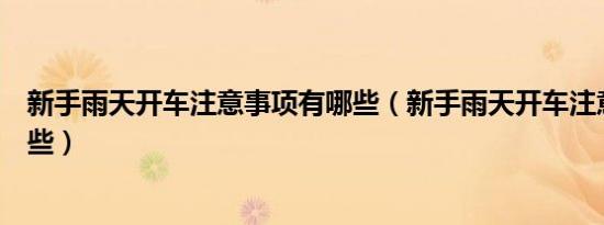 新手雨天开车注意事项有哪些（新手雨天开车注意事项有哪些）