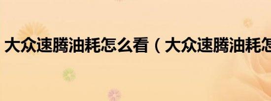 大众速腾油耗怎么看（大众速腾油耗怎么看）