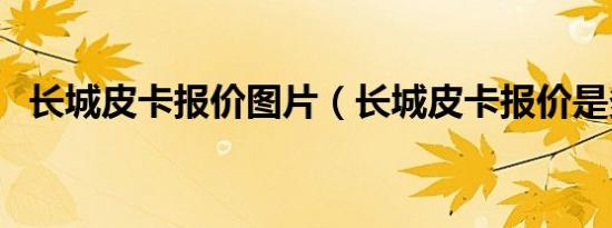 长城皮卡报价图片（长城皮卡报价是多少）