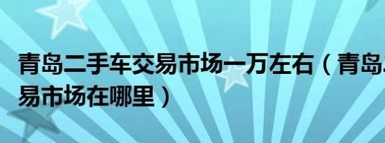 青岛二手车交易市场一万左右（青岛二手车交易市场在哪里）