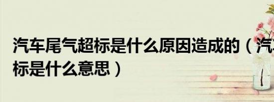 汽车尾气超标是什么原因造成的（汽车尾气超标是什么意思）