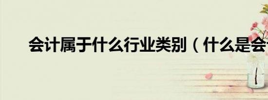 会计属于什么行业类别（什么是会计）