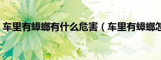 车里有蟑螂有什么危害（车里有蟑螂怎么办）