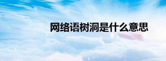 网络语树洞是什么意思