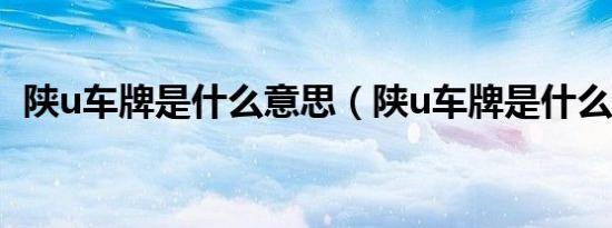 陕u车牌是什么意思（陕u车牌是什么地方）