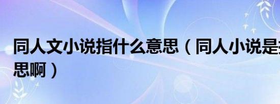 同人文小说指什么意思（同人小说是指什么意思啊）