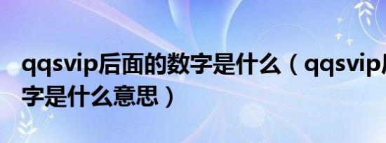 qqsvip后面的数字是什么（qqsvip后面的数字是什么意思）