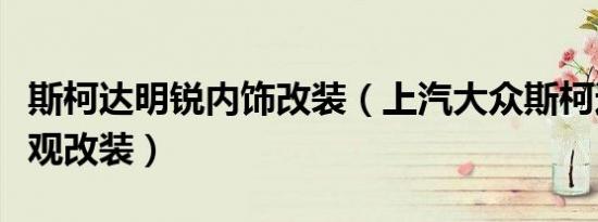 斯柯达明锐内饰改装（上汽大众斯柯达明锐外观改装）