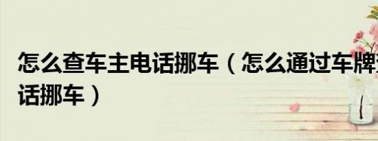怎么查车主电话挪车（怎么通过车牌查车主电话挪车）