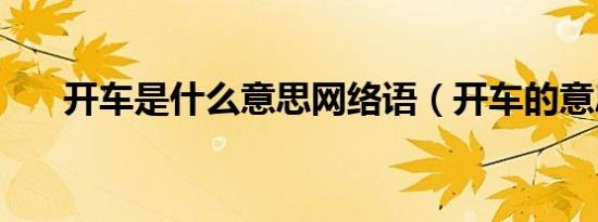 开车是什么意思网络语（开车的意思）