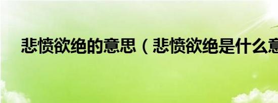 悲愤欲绝的意思（悲愤欲绝是什么意思）