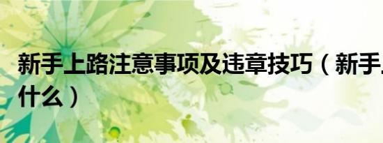 新手上路注意事项及违章技巧（新手上路注意什么）