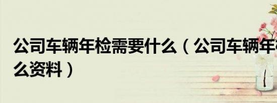 公司车辆年检需要什么（公司车辆年检需要什么资料）