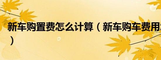 新车购置费怎么计算（新车购车费用怎么计算）
