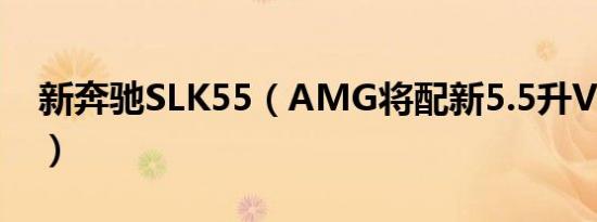 新奔驰SLK55（AMG将配新5.5升V8发动机）