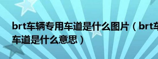 brt车辆专用车道是什么图片（brt车辆专用车道是什么意思）