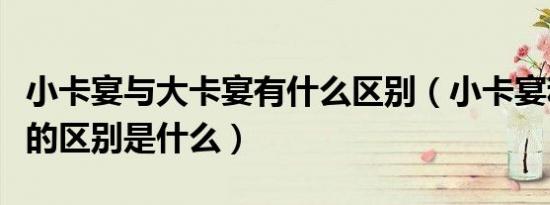 小卡宴与大卡宴有什么区别（小卡宴和大卡宴的区别是什么）