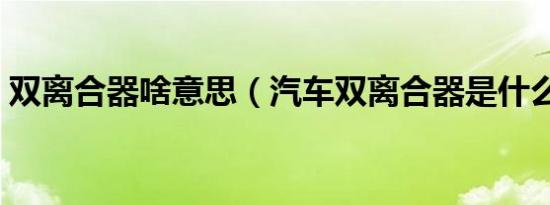 双离合器啥意思（汽车双离合器是什么意思）