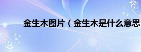 金生木图片（金生木是什么意思）