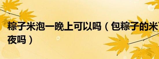 粽子米泡一晚上可以吗（包粽子的米可以泡过夜吗）