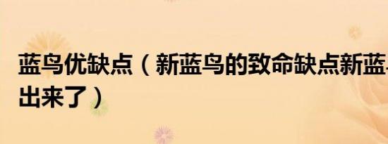 蓝鸟优缺点（新蓝鸟的致命缺点新蓝鸟问题全出来了）