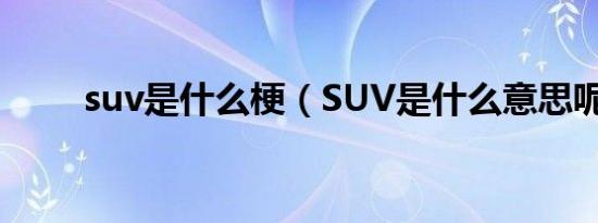 suv是什么梗（SUV是什么意思呢）