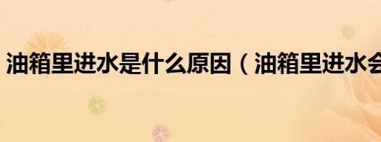 油箱里进水是什么原因（油箱里进水会怎样）