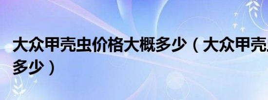 大众甲壳虫价格大概多少（大众甲壳虫价格是多少）