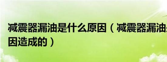 减震器漏油是什么原因（减震器漏油是什么原因造成的）